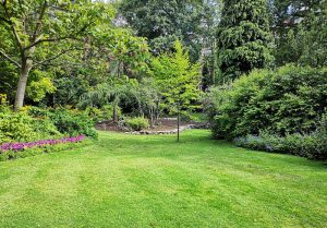 Optimiser l'expérience du jardin à Araules