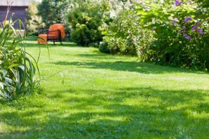 travaux jardin et paysage Araules